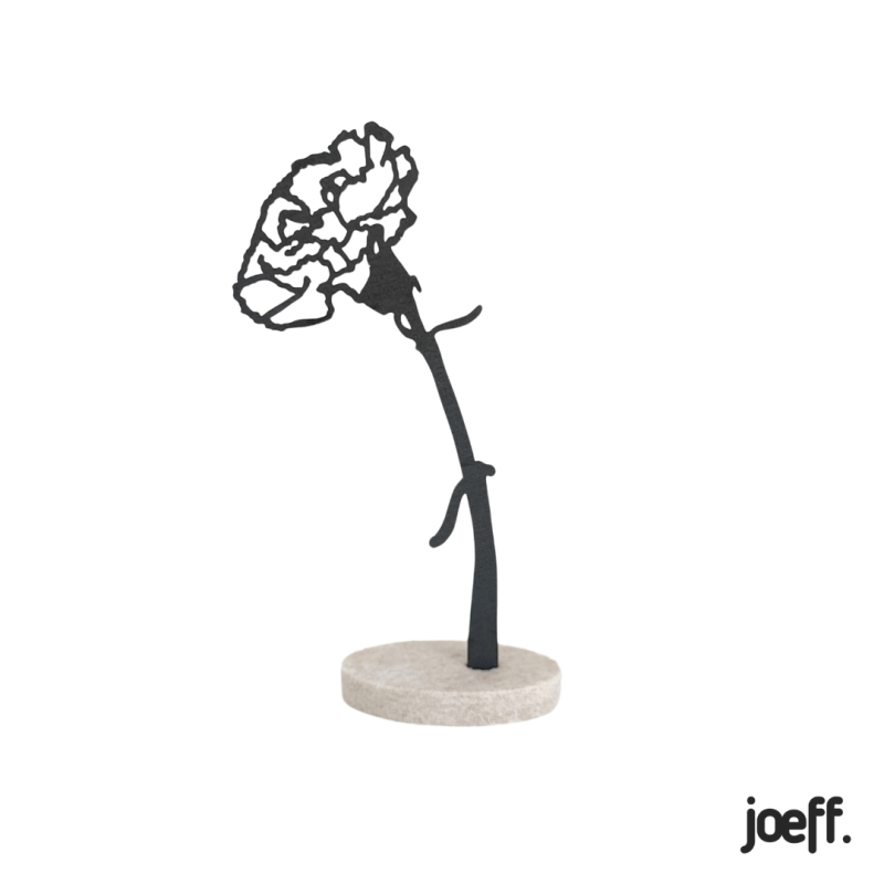 Levensbloem Januari - Anjer