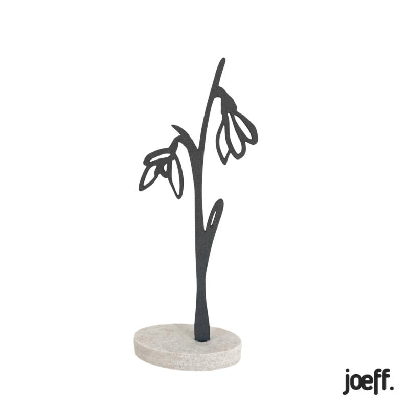 Levensbloem Januari - Sneeuwvlokje