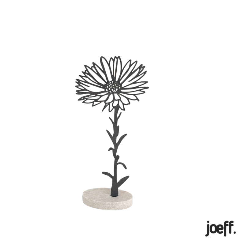 Levensbloem September - Aster